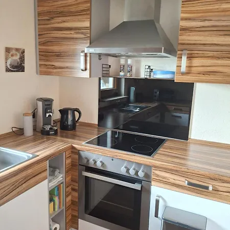 Apartman Lufs Loft Nahe Schluchsee Im Naturpark Suedschwarzwald