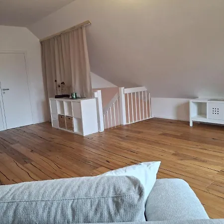 公寓 Lufs Loft Nahe Schluchsee Im Naturpark Suedschwarzwald 于林根-比肯多夫