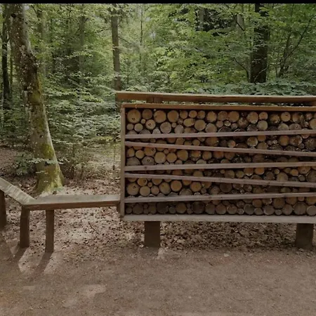 Lufs Loft Nahe Schluchsee Im Naturpark Südschwarzwald * Ühlingen-Birkendorf