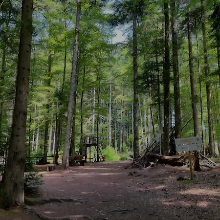Lufs Loft Nahe Schluchsee Im Naturpark Suedschwarzwald