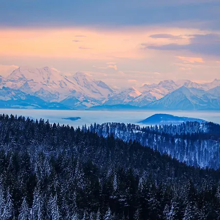 아파트 Lufs Loft Nahe Schluchsee Im Naturpark Suedschwarzwald 윌링겐-비르켄도르프
