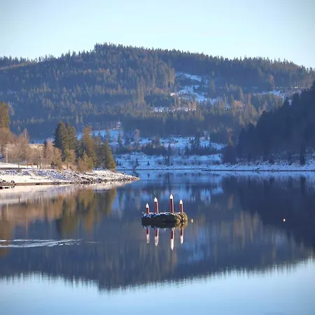 아파트 Lufs Loft Nahe Schluchsee Im Naturpark Suedschwarzwald *